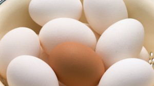 Лечение папилломы яйцами